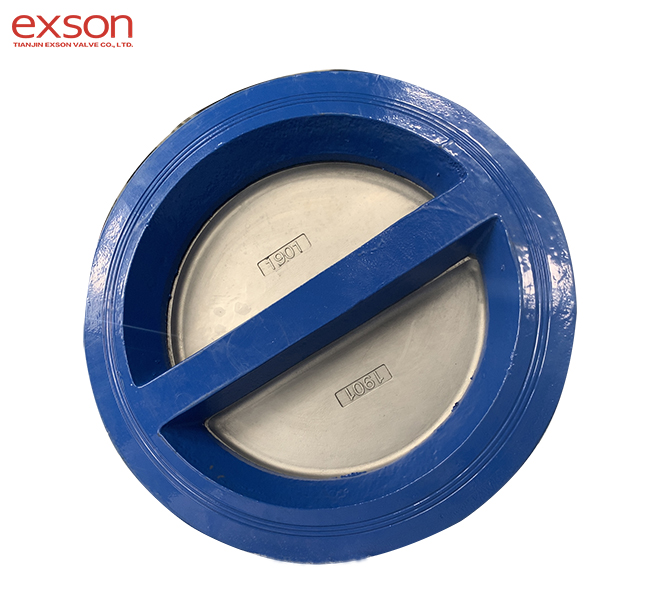 Dual plate check valve